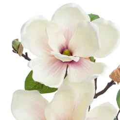 Magnolia Open Flower Spray with Bud Light Pink (71cmH)