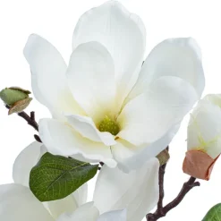 Magnolia Open Flower Spray with Bud White (71cmH)