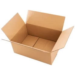 Mailing Outer Carton Pack 6 Brown (39.5Wx28Dx16Hcm) HTML