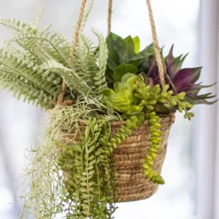 Maya Grass hanging Basket Round Natural (22Dx16.5cmHx68TH)