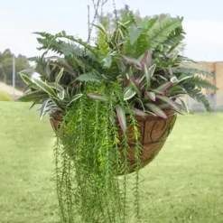 Metal Hanging Basket Scroll with Insert (40.5cm)