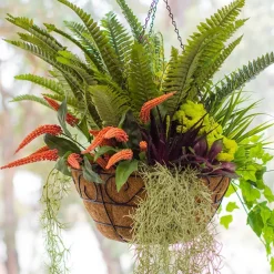 Metal Hanging Basket Scroll with Insert (40.5cm)