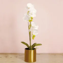 Metal Plant and Arrangement Pot Brass Gold (12x13cmH)