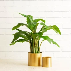 Metal Pot Round Brass Gold (20x18cmH)