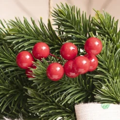 Mini Berry Picks Pack 50 Red (1.2cmDx9cmH)