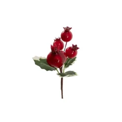 Mini Pomegrante Berry Pick Pack 6 Red (12cmH)