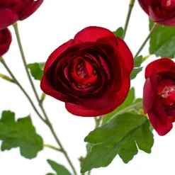 Mini Ranunculus Spray Red (67cmH)