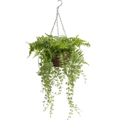 Mixed Fern Hanging Plant Basket Green (66cmH)