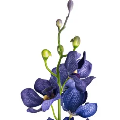 Mokara Orchid Spray French Blue (49cmH)