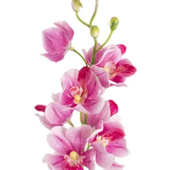 Mokara Orchid Spray Hot Pink (49cmH)