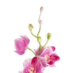 Mokara Orchid Spray Hot Pink (49cmH)