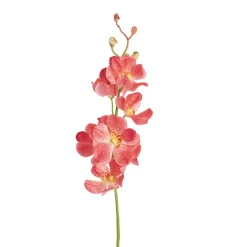 Mokara Orchid Spray Peach (49cmH)