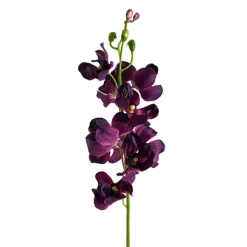 Mokara Orchid Spray Purple (49cmH)