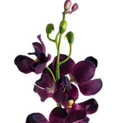 Mokara Orchid Spray Purple (49cmH)