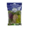 Moss Mix Preserved Bag Moss Assorted Best Sellers (55gm Bag)