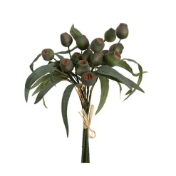Native Eucalyptus Gumnut Bunch Green (36cmH)