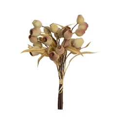 Native Gumnut Bunch Cream (41cmH)