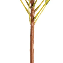 Native King Protea Pink (73cmH)