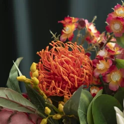 Native Leucospermum Orange (61cmH)