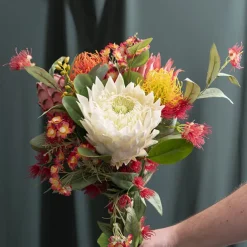 Native Leucospermum Yellow (61cmH)