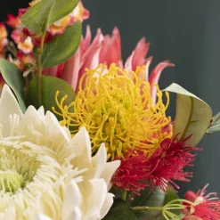 Native Leucospermum Yellow (61cmH)