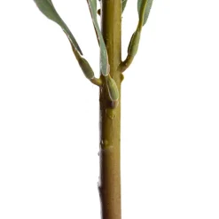 Native Protea Cream (66cmH)