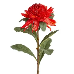 Native Waratah Red (18cmDx80cmH)