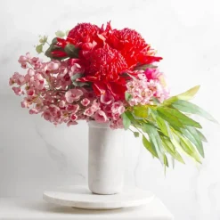 Native Waratah Red (18cmDx80cmH)