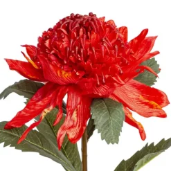 Native Waratah Red (18cmDx80cmH)