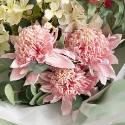 Native Waratah Soft Pink (18cmDx80cmH)