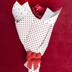 Natural Jute Ribbon Sewn Edge Red (40mmx10m)