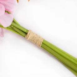 Natural Raffia Hank (approx. 1kg)