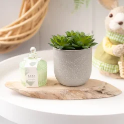 Natural Wood Timber Slice Oval Brown (Approx 29x11x2.5cmH)