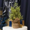 Norway Spruce Pine LED Burlap Table Top Tree Green (35cmH)