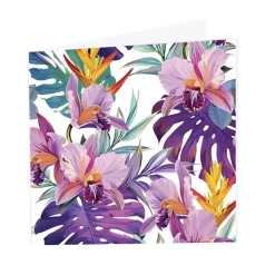 Nouvelle Gift Card & Envelope Tropical Plants Pk25(10x10cmH)