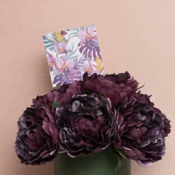 Nouvelle Gift Card & Envelope Tropical Plants Pk25(10x10cmH)