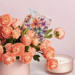 Nouvelle Gift Card & Envelope Golden Cosmos Pk25 (10x10cmH)