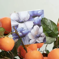 Nouvelle Gift Card & Envelope White Anemone Pk25 (10x10cmH)