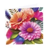 Nouvelle Gift Card & Envelope Vibrant Dasies Pk25 (10x10cmH)
