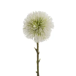 Onion Ball Stem Green Cream (15cmDx47cmH)