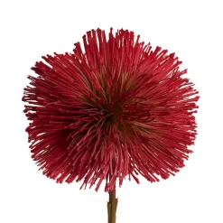 Onion Ball Stem Red (47cmH)