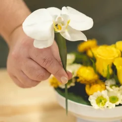 Orchid Vials Large With Stem & Cap Pack 10 Green (15cm)