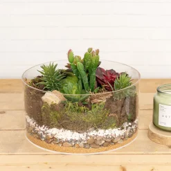 Oregon Moss Mix Preserved Bag Moss Assorted (55gm Bag)