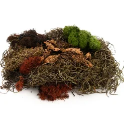 Oregon Moss Mix Preserved Bag Moss Assorted (55gm Bag)