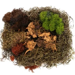 Oregon Moss Mix Preserved Bag Moss Assorted (55gm Bag)