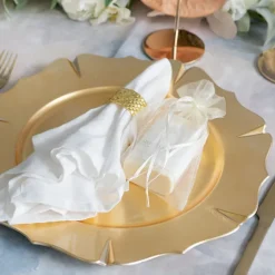 Organza Gift Bomboniere Bag Medium Ivory Pk10 (12.5x17cmH)