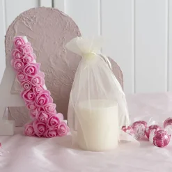 Organza Gift Bomboniere Bag Large Ivory Pack 10 (15x24cmH)