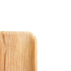 Palm Leaf Square Plate (25cm) Pack 10