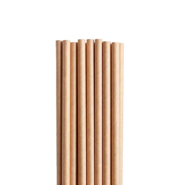 Paper Straws Plain Kraft Brown (20cmH 6mmDia) Pack 50