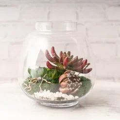 Pebbles Mini Dyed 5-15mm White (800gm Jar)